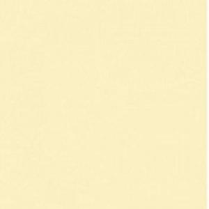 Paint and Paper Library Irish Linen Paint